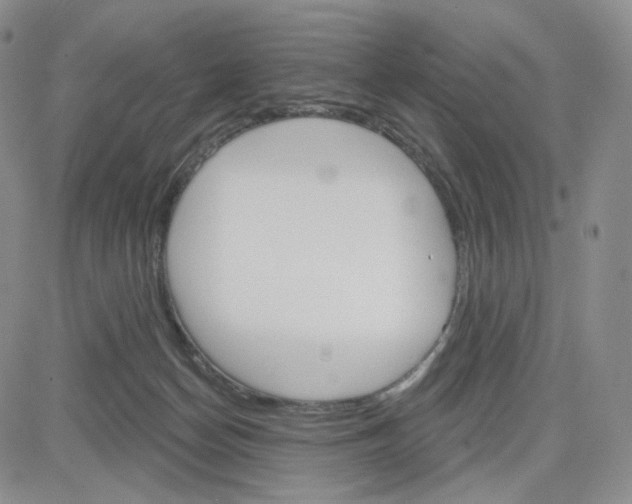 X0000083650174200702261125