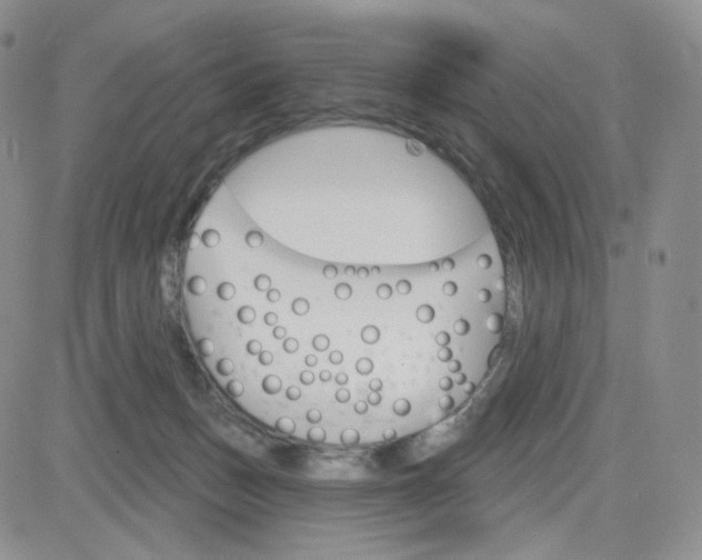 X0000083650175200702261125