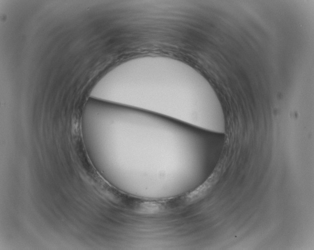 X0000083650176200702261125