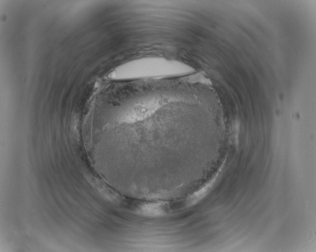 X0000083650178200702261125