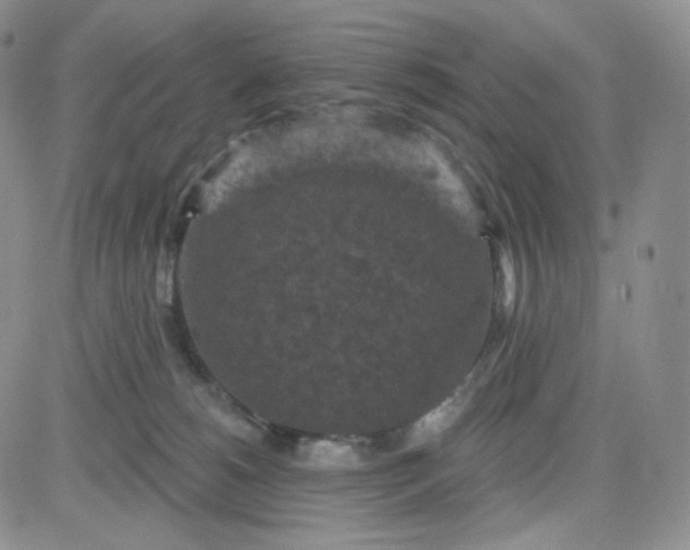 X0000083650180200702261125