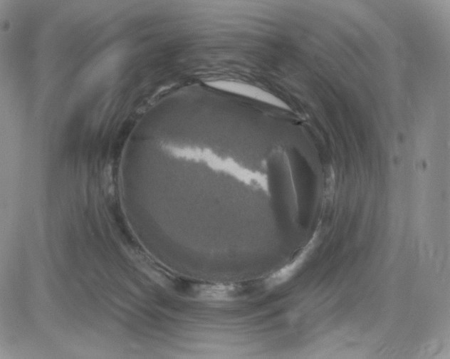 X0000083650182200702261125