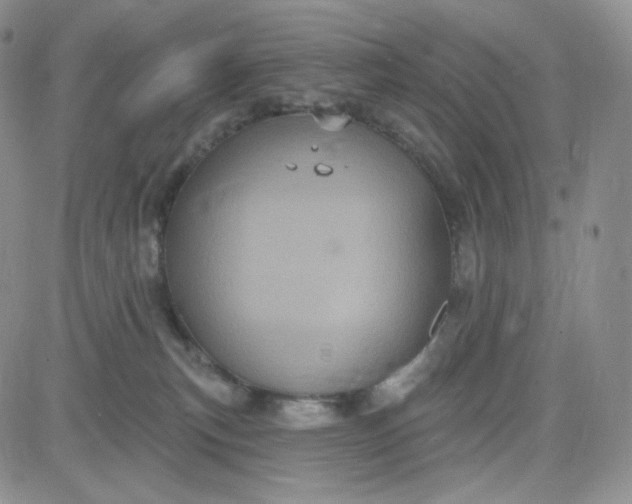 X0000083650183200702261125