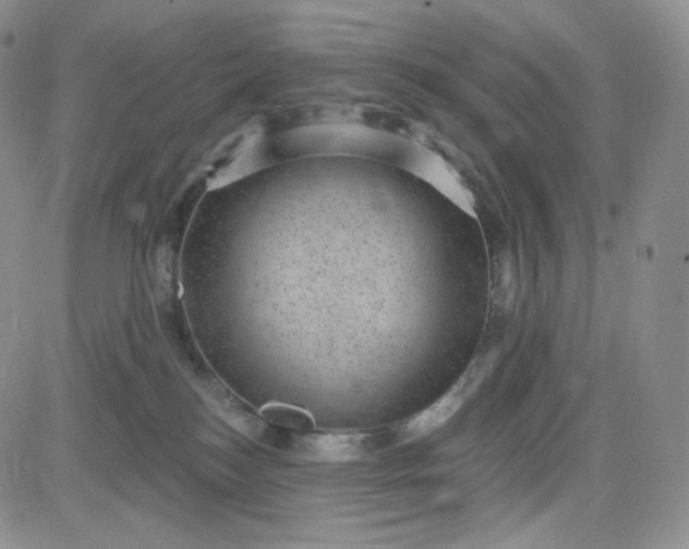 X0000083650184200702261125