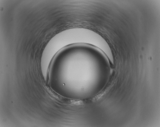 X0000083650185200702261125