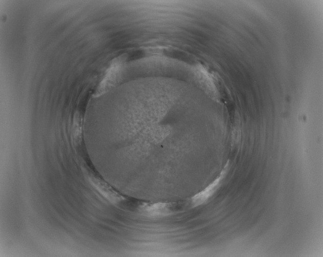 X0000083650186200702261125