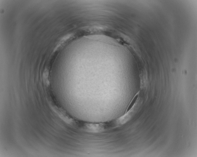 X0000083650187200702261125