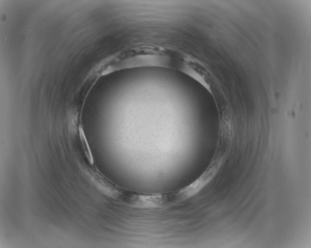 X0000083650188200702261125