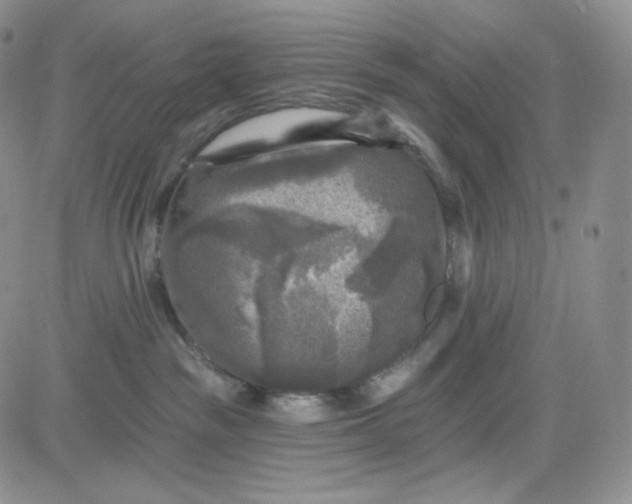 X0000083650189200702261125