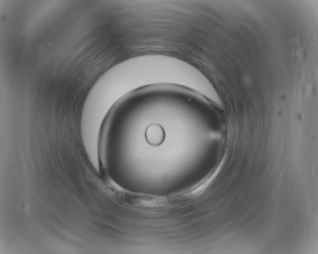 X0000083650190200702261125