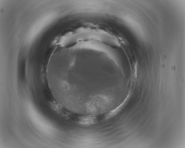 X0000083650191200702261125