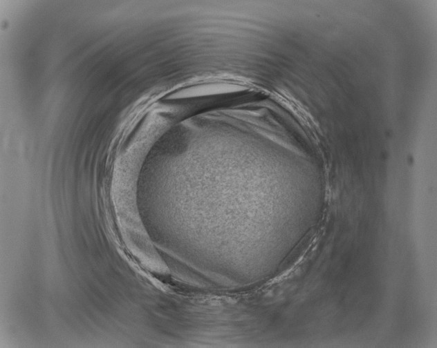 X0000083650193200702261125