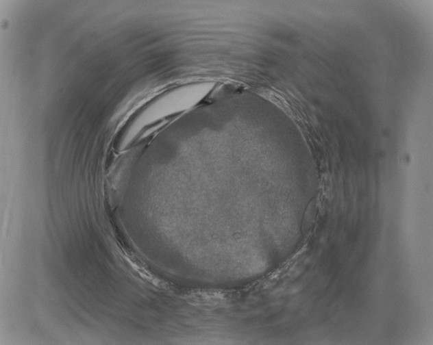 X0000083650194200702261125