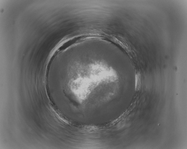 X0000083650195200702261125