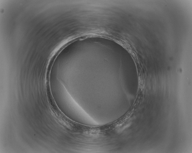 X0000083650196200702261125