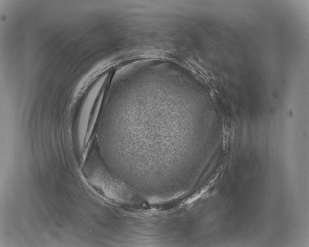 X0000083650197200702261125