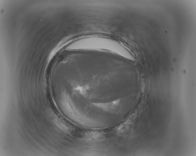 X0000083650198200702261125