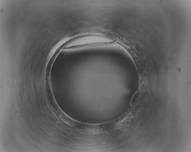 X0000083650200200702261125