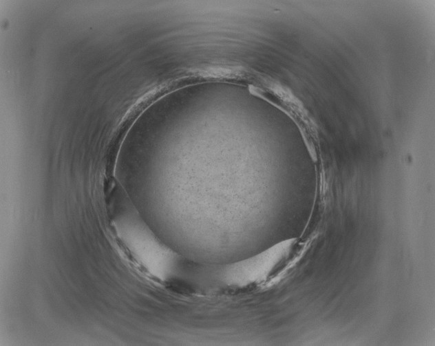 X0000083650201200702261125