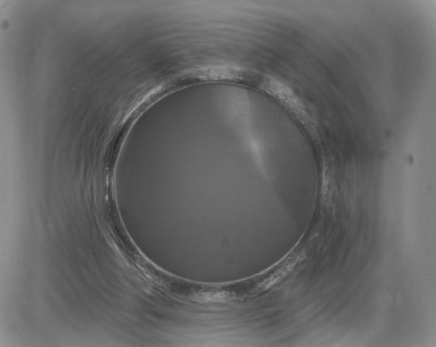 X0000083650202200702261125