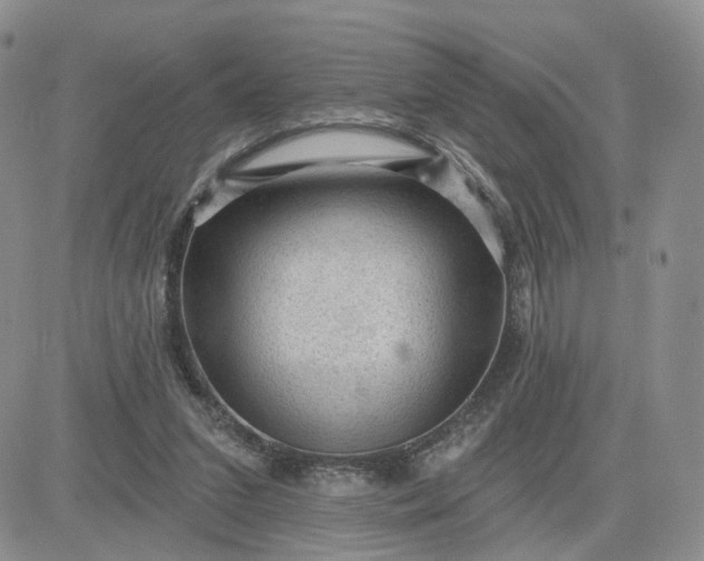 X0000083650207200702261124