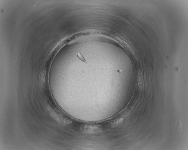 X0000083650208200702261124