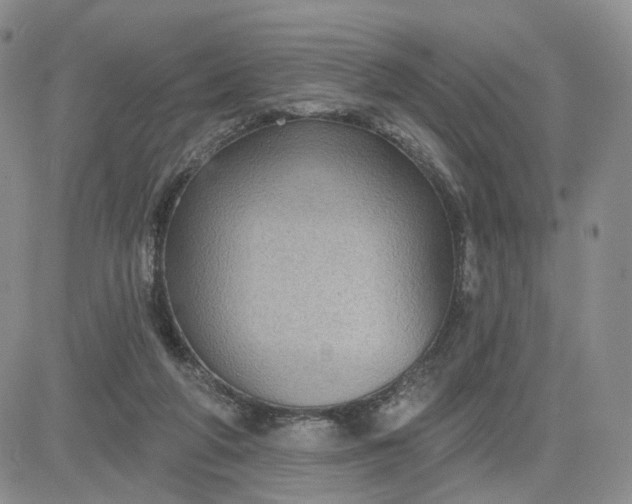 X0000083650210200702261124