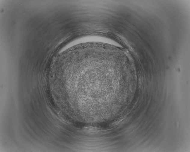 X0000083650211200702261124