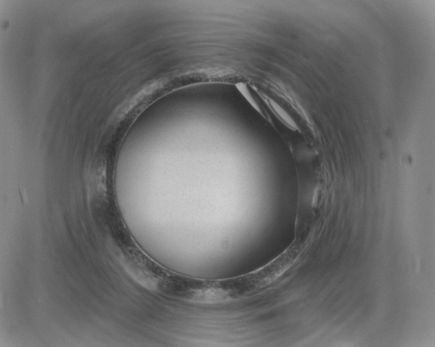 X0000083650212200702261124