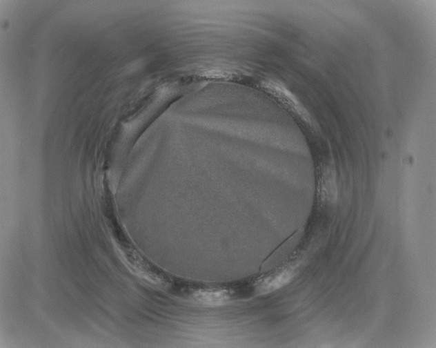 X0000083650213200702261124