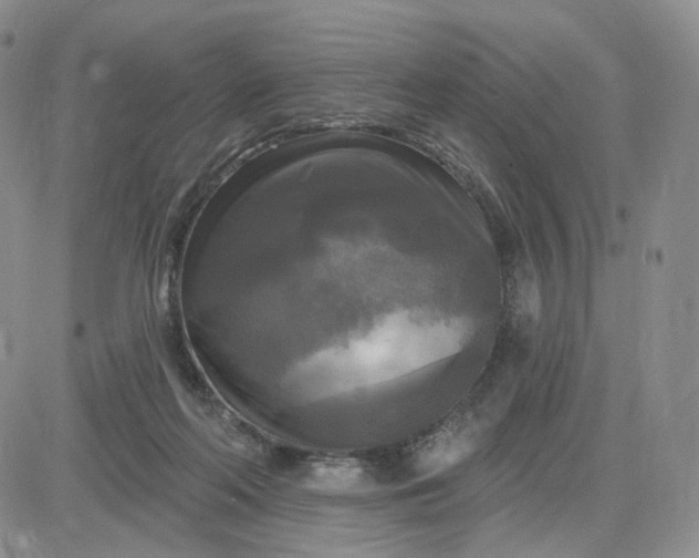 X0000083650214200702261124