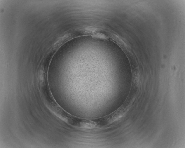 X0000083650215200702261124