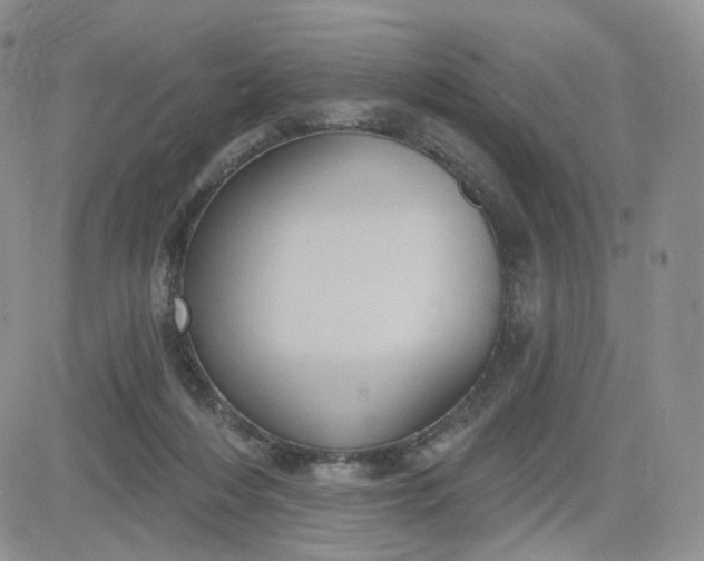 X0000083650216200702261124