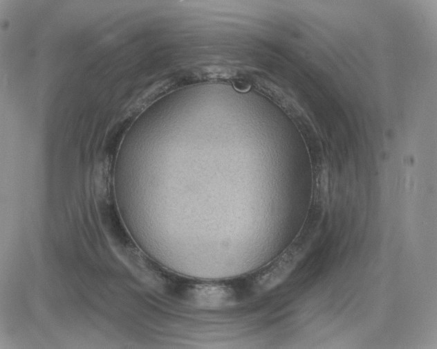 X0000083650218200702261124