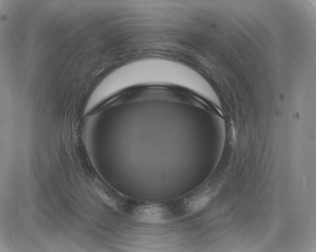 X0000083650219200702261124