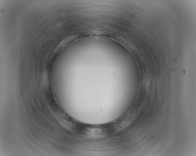 X0000083650220200702261124