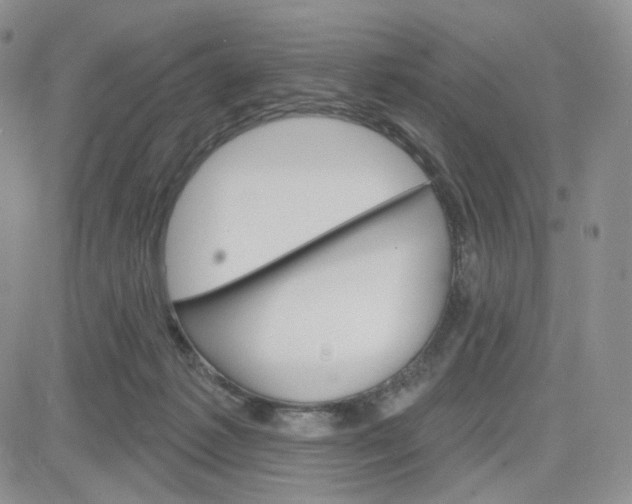 X0000083650221200702261124