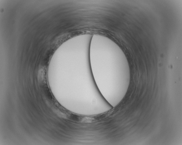 X0000083650222200702261124