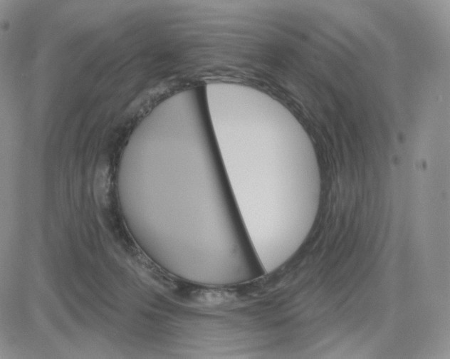 X0000083650223200702261124