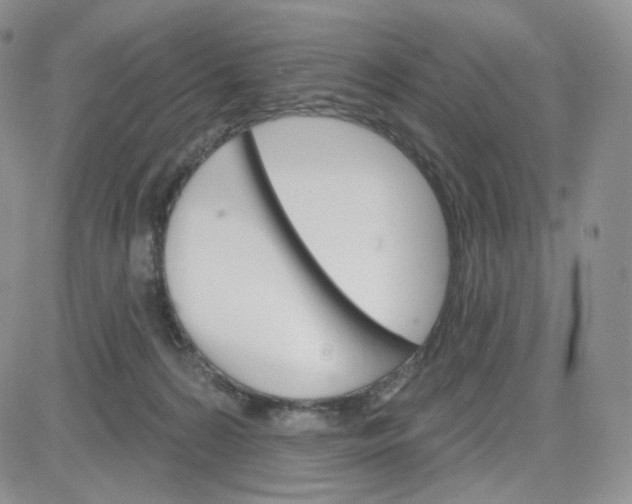 X0000083650224200702261124