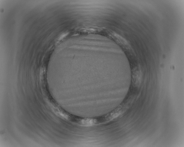 X0000083650225200702261124