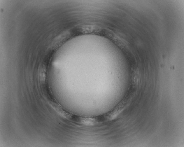 X0000083650226200702261124