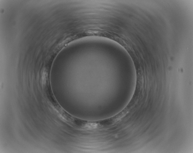 X0000083650227200702261124