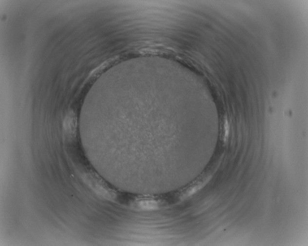 X0000083650228200702261124