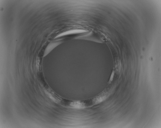 X0000083650231200702261124