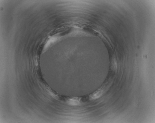 X0000083650232200702261124