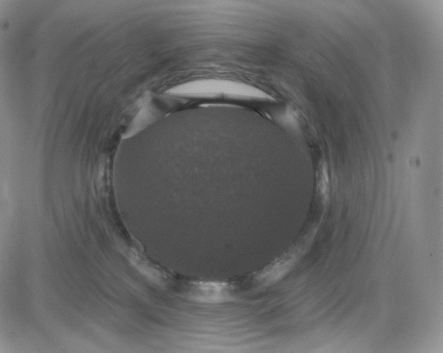 X0000083650233200702261124