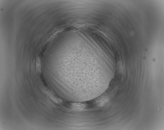 X0000083650234200702261124