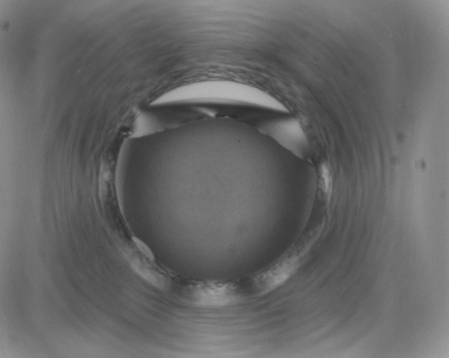 X0000083650235200702261124