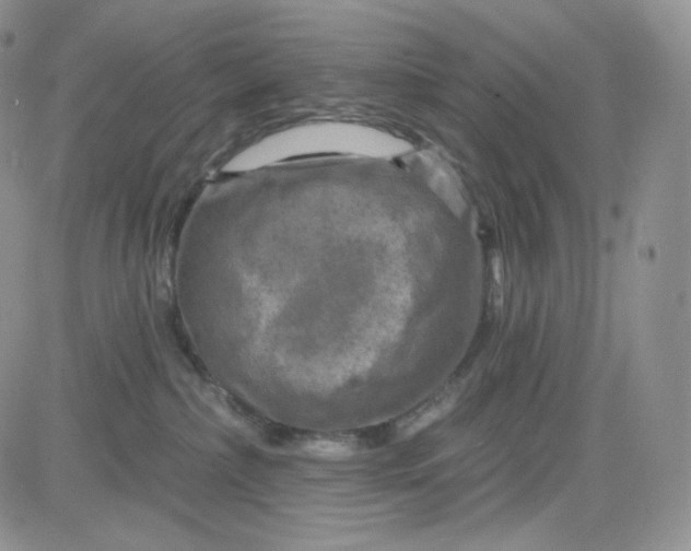 X0000083650236200702261124